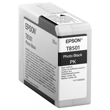 Epson Singlepack Photo Black T850100