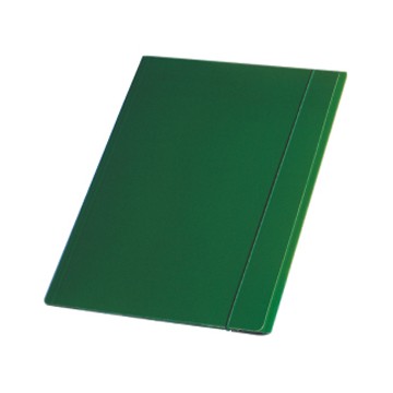 Esselte 390346180 Verde cartella