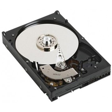 DELL 1TB SATA 1000GB Serial ATA III