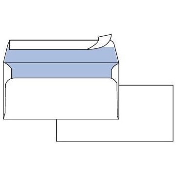 CF25 BUSTE EDERA S/FIN 11X23CM