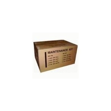 Ricoh 402594 kit per stampante