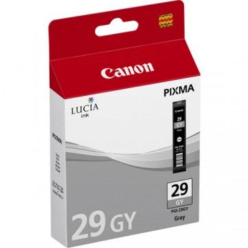 Canon Cartuccia d'inchiostro PGI-29GY Grigio