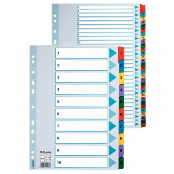 Esselte Carton Index