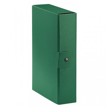 Esselte Eurobox Verde