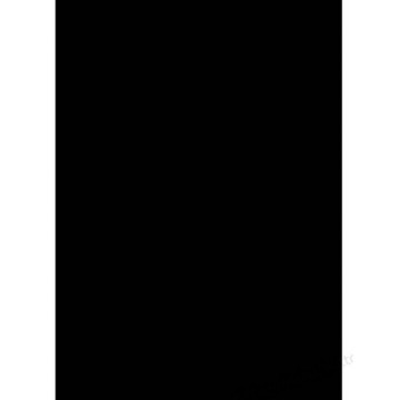 GBC Copertine rilegatura PolyOpaque A4 300 micron nere (100)
