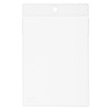 CF100 BUSTE PORTA AVVISI A6