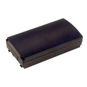 2-Power VBH9741A Batteria per fotocamera/videocamera Nichel-Metallo Idruro (NiMH) 2100 mAh