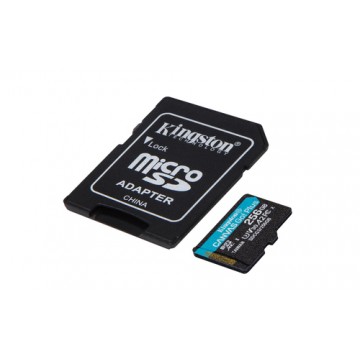 Kingston Technology Canvas Go! Plus memoria flash 256 GB SD Classe 10 UHS-I