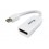 Equip 133440 cavo di interfaccia e adattatore Mini DisplayPort DisplayPort Bianco