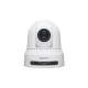 Sony SRG-X120 Cupola Telecamera di sicurezza IP 3840 x 2160 Pixel Soffitto/palo