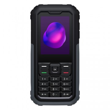 TCL 3189 6,1 cm (2.4") Nero, Grigio Telefono con fotocamera