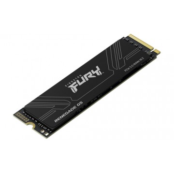 Kingston Technology 1T FURY RENEGADE G5 M.2 2280 NVMe SSD
