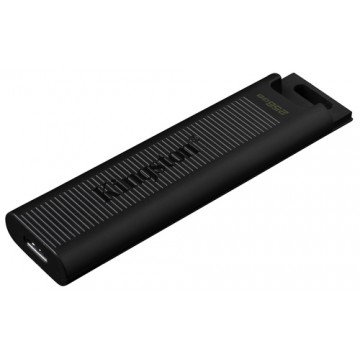 Kingston Technology DataTraveler 256GB Max 1000R/900W USB 3.2 Gen 2